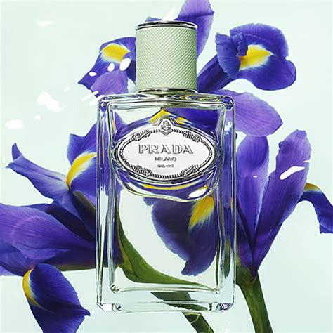 prada iris nordstrom|Prada les infusions iris.